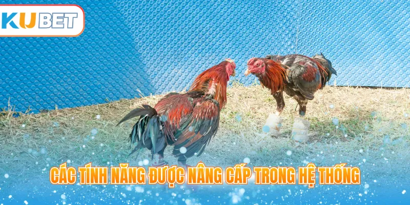 Các tính năng được nâng cấp trong hệ thống